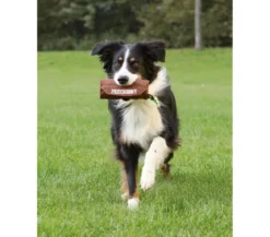 Trixie Dog Activity Hundespielzeug Preydummy