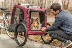 Trixie Fahrradanhänger für den Hund, dunkelrot/schwarz
