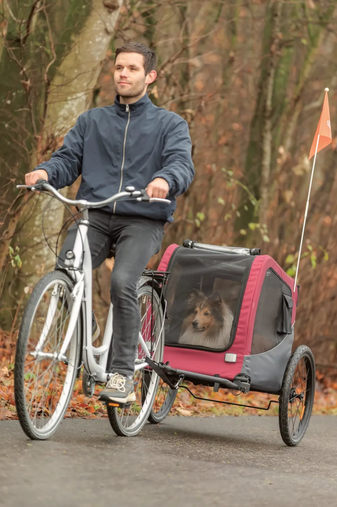 Trixie Fahrradanhänger für den Hund, dunkelrot/schwarz