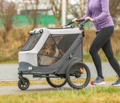 Trixie Fahrradanhänger für den Hund mit Schnell-Falt-Funktion, grau
