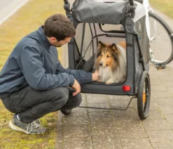 Trixie Fahrradanhänger für den Hund mit Schnell-Falt-Funktion, grau