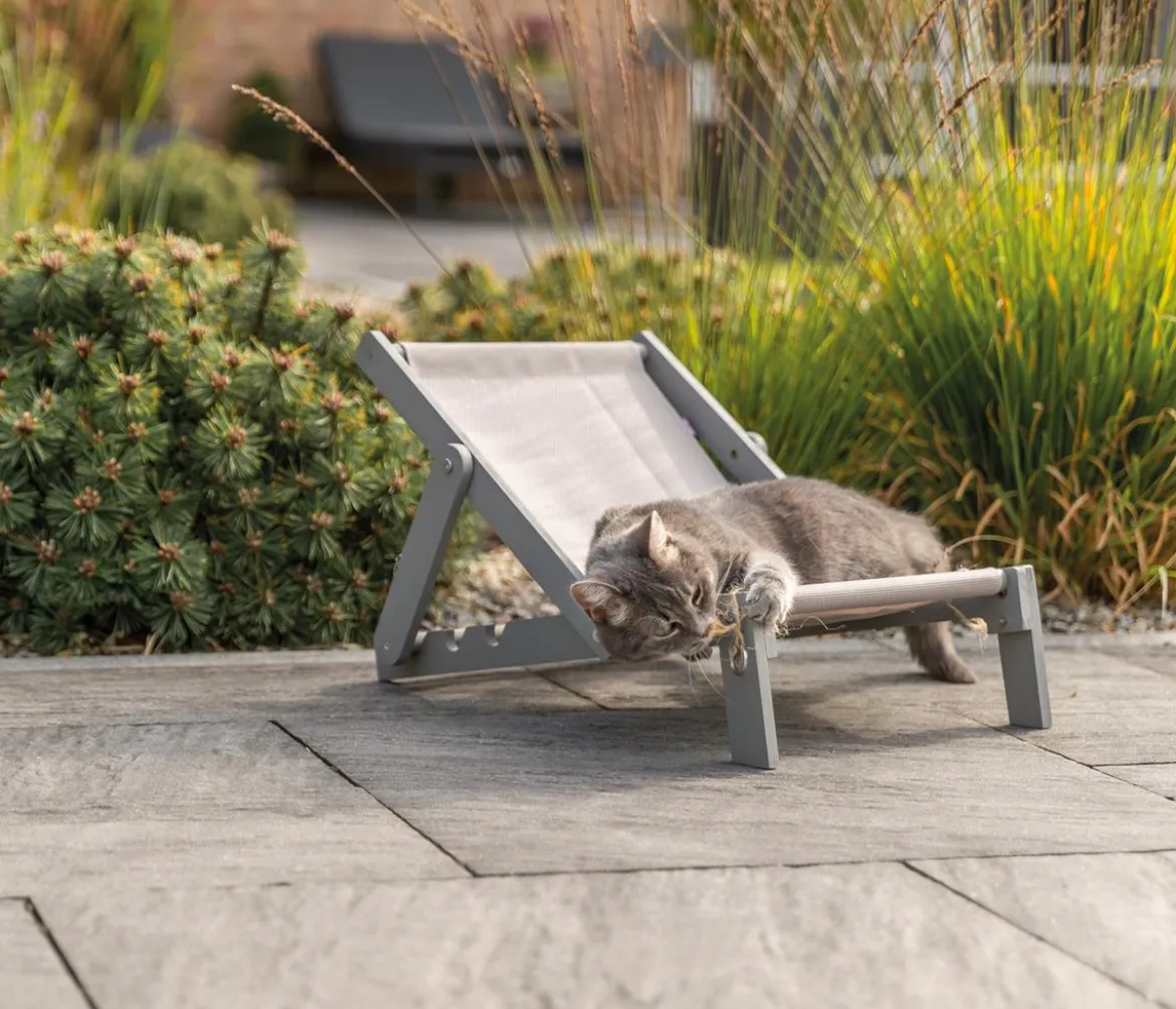 Trixie Holz-Strandstuhl für Katzen, ca. B33/H37/T51 cm