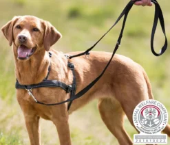 Trixie Hundegeschirr Lead'n'Walk Soft, schwarz