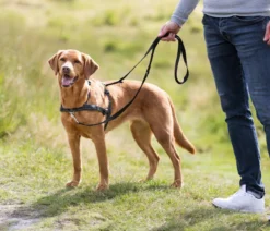 Trixie Hundegeschirr Lead'n'Walk Soft, schwarz