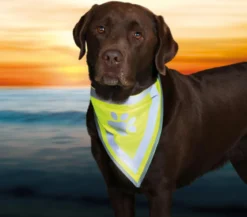 Trixie Hunde-Halstuch Safer Life