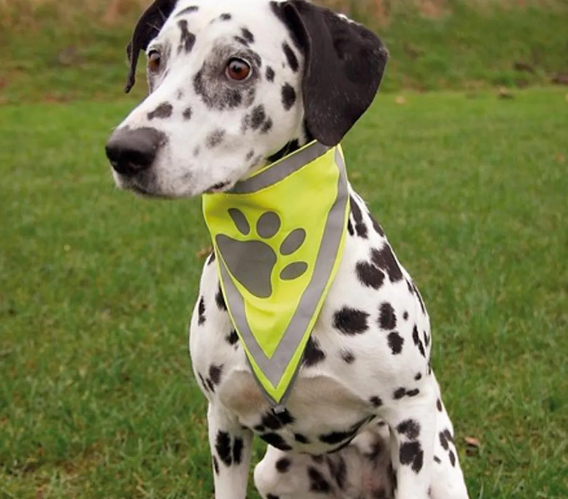Trixie Hunde-Halstuch Safer Life