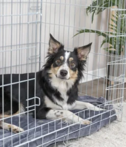 Trixie Hundekäfig mit 2 Türen, schwarz