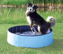 Trixie Hundepool, rund, petrol
