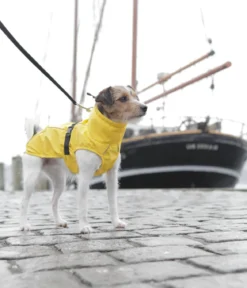 Trixie Hunde-Regenmantel Vimy