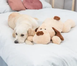 Trixie Hundespielzeug Ankuschelhund Benny