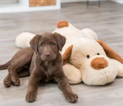 Trixie Hundespielzeug Ankuschelhund Benny