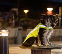 Trixie Sicherheitsweste für Hunde, neongelb