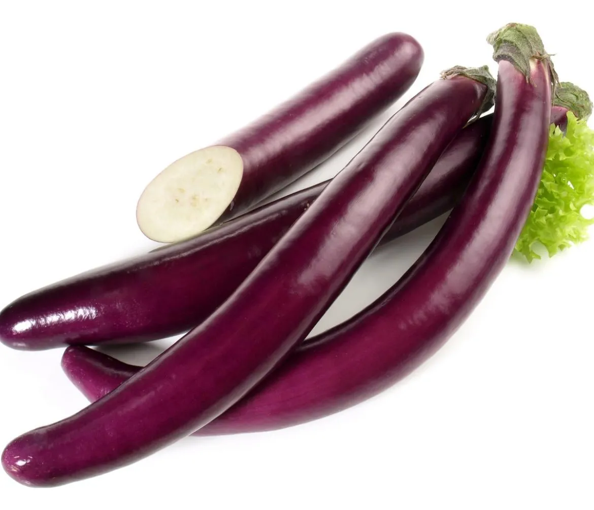 Türkische Aubergine