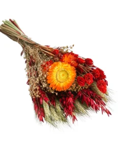Trockenblumenbouquet Cone, orange