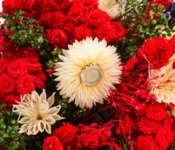 Trockenblumenbouquet Fantasy, rot