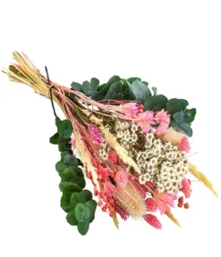 Trockenblumenbouquet Lights, pink