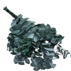 Trockenblumenbund Eukalyptus, dunkelgrün