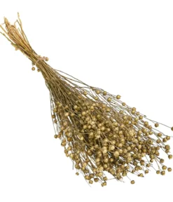 Trockenblumenbund Flachs, gold