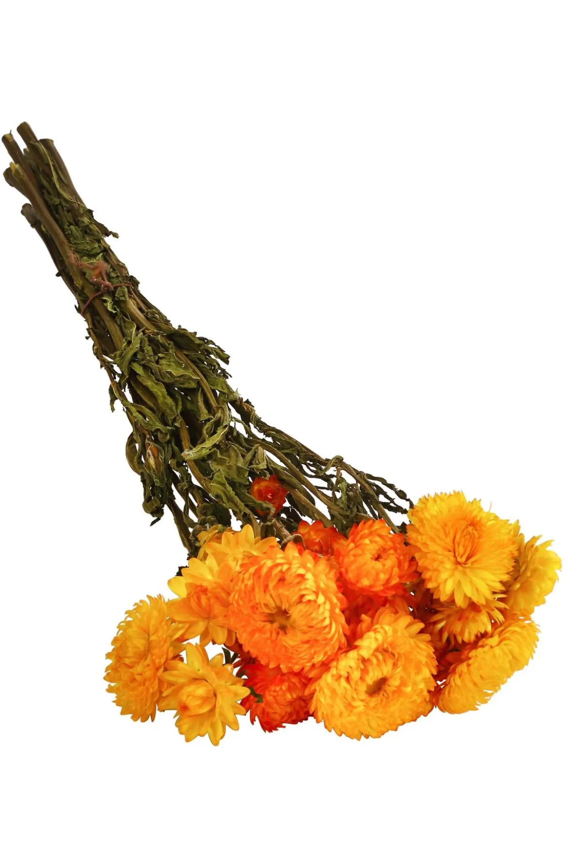Trockenblumenbund Strohblume
