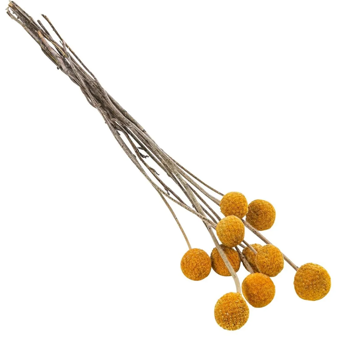 Trockenblumenbund Trommelschlägel