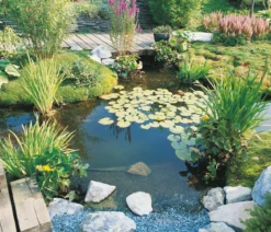 Ubbink Aqua Liner PVC-Teichfolie, 0,5 mm