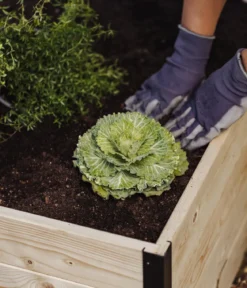 Upyard Holz-Hochbeet GardenBox I-Box, ca. B120/H40/T80 cm