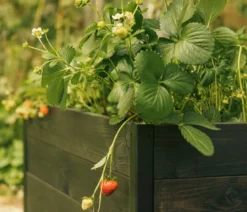 Upyard Holz-Hochbeet GardenBox I-Box, ca. B120/H40/T80 cm