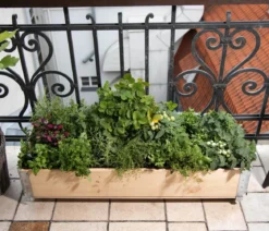 Upyard Holz-Kräuterkasten HerbsBox mit Rollen, ca. B120/H20/T40 cm