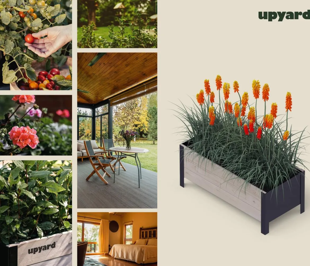 Upyard Holz-Pflanzkasten ModernBox, ca. B78/H32/T36 cm