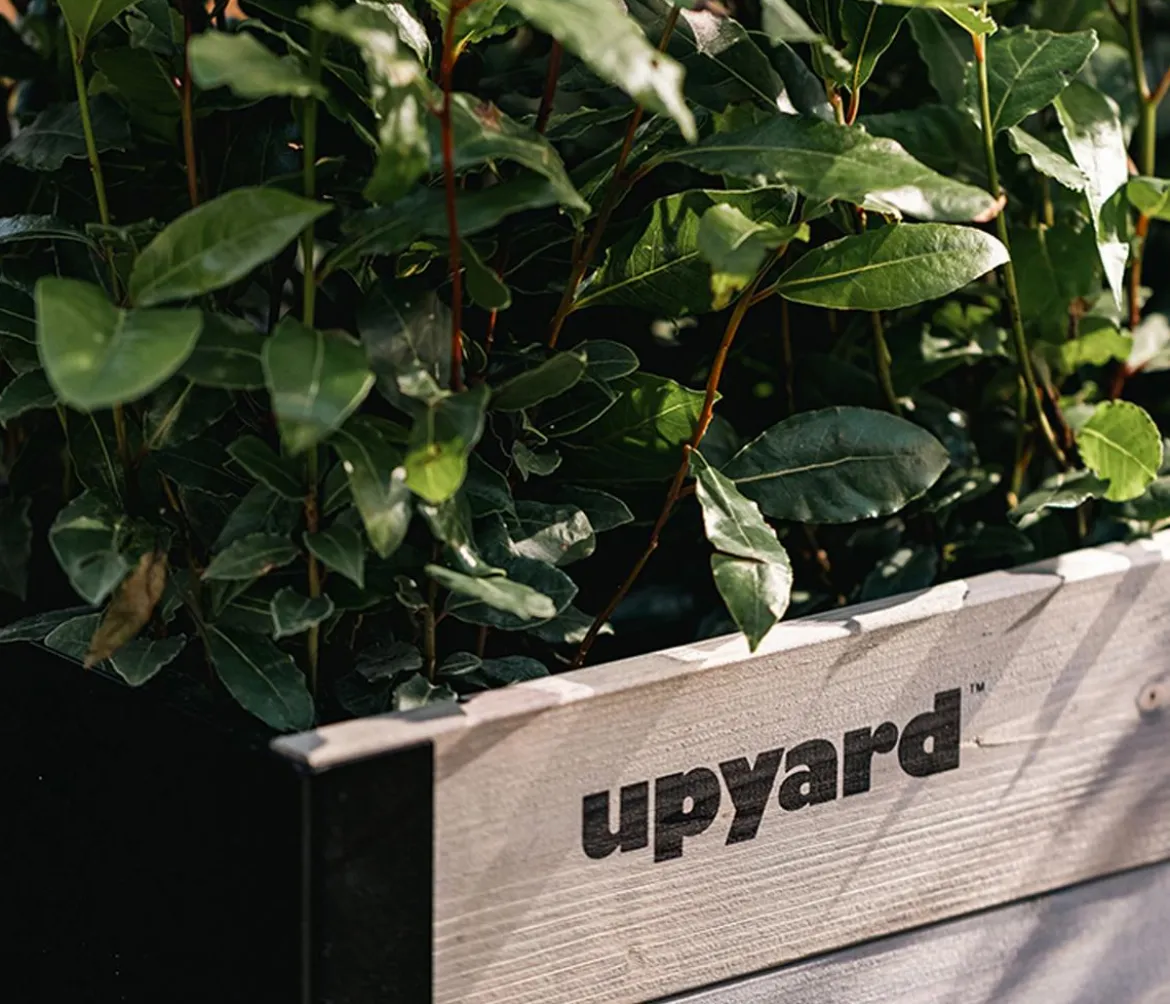 Upyard Holz-Pflanzkasten ModernBox, ca. B58/H32/T36 cm