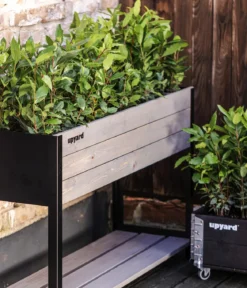 Upyard Holz-Pflanzkasten ModernBox mit Ablage, ca. B118/H72/T36 cm