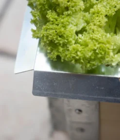 Upyard Schneckenkante