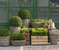 Van der Leeden Rattan-Topf Drypot, rund, grau/braun