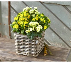 Van der Leeden Rattan-Topf, quadratisch, grau-braun