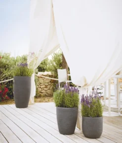 Vasar Kunststoff-Topf Shabby, rund, anthrazit