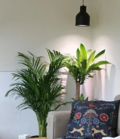 Venso Lampenschirm Saga für Pflanzenlampe