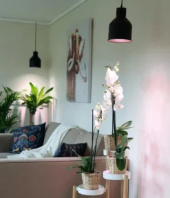 Venso Lampenschirm Saga für Pflanzenlampe