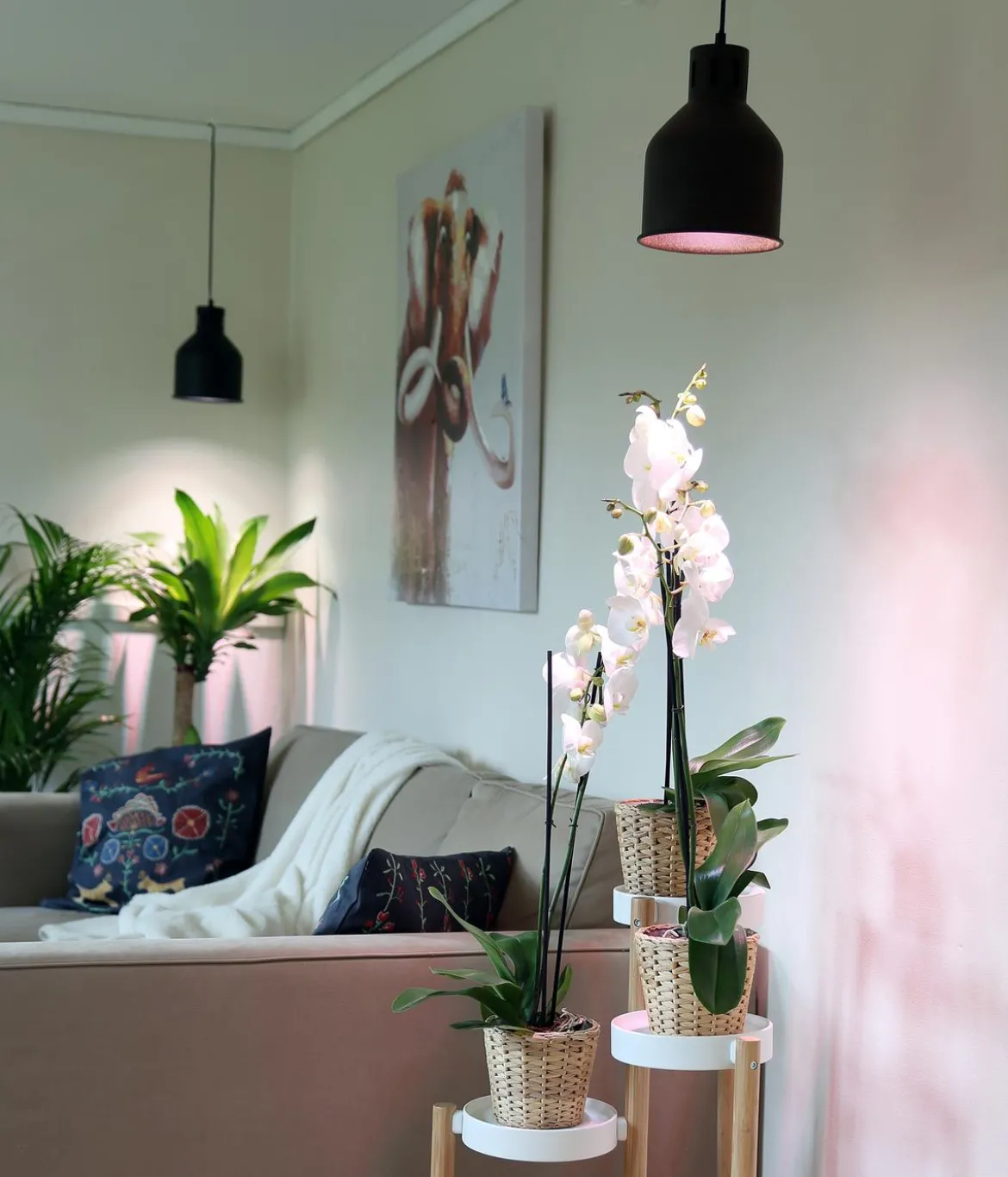 Venso Lampenschirm Saga für Pflanzenlampe