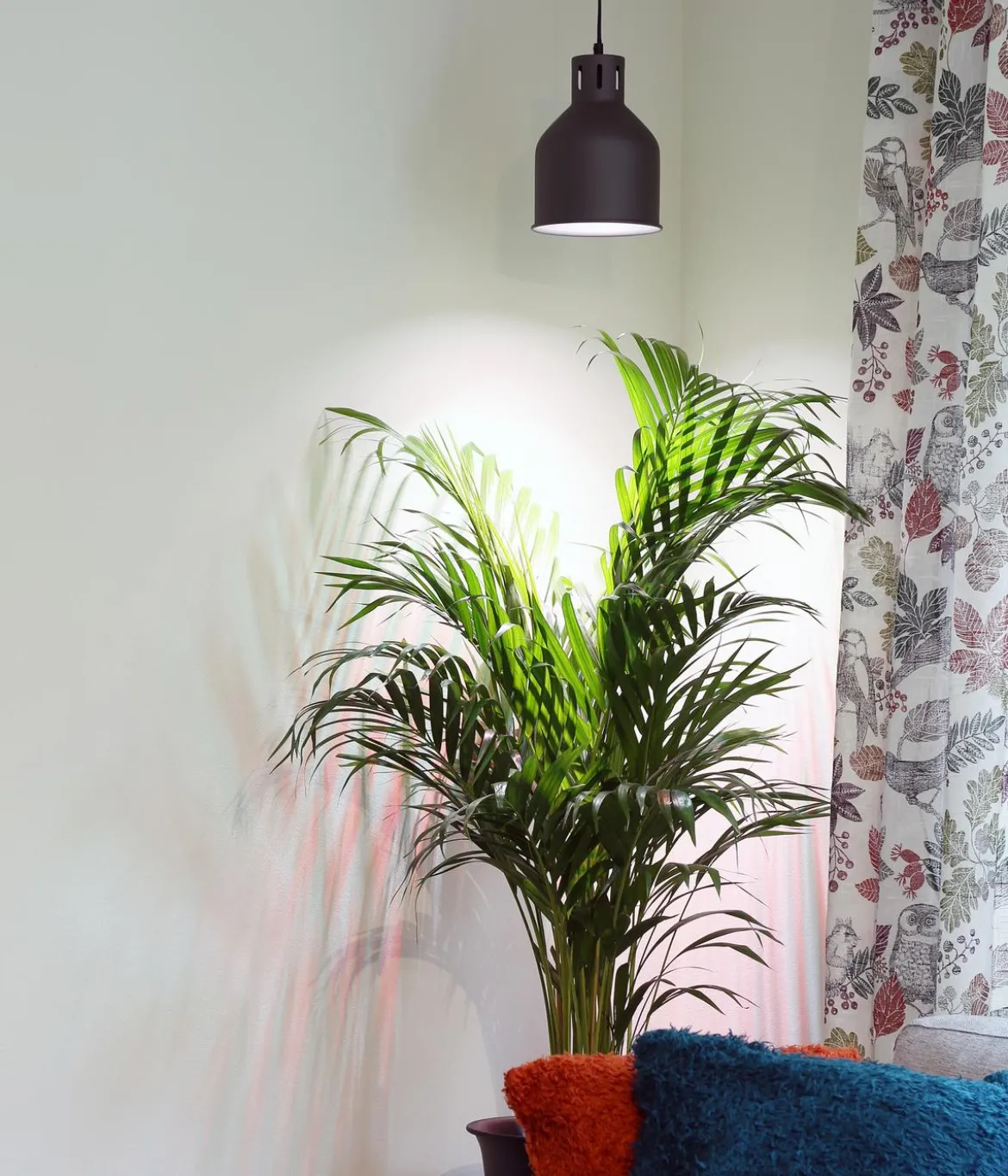 Venso Lampenschirm Saga für Pflanzenlampe