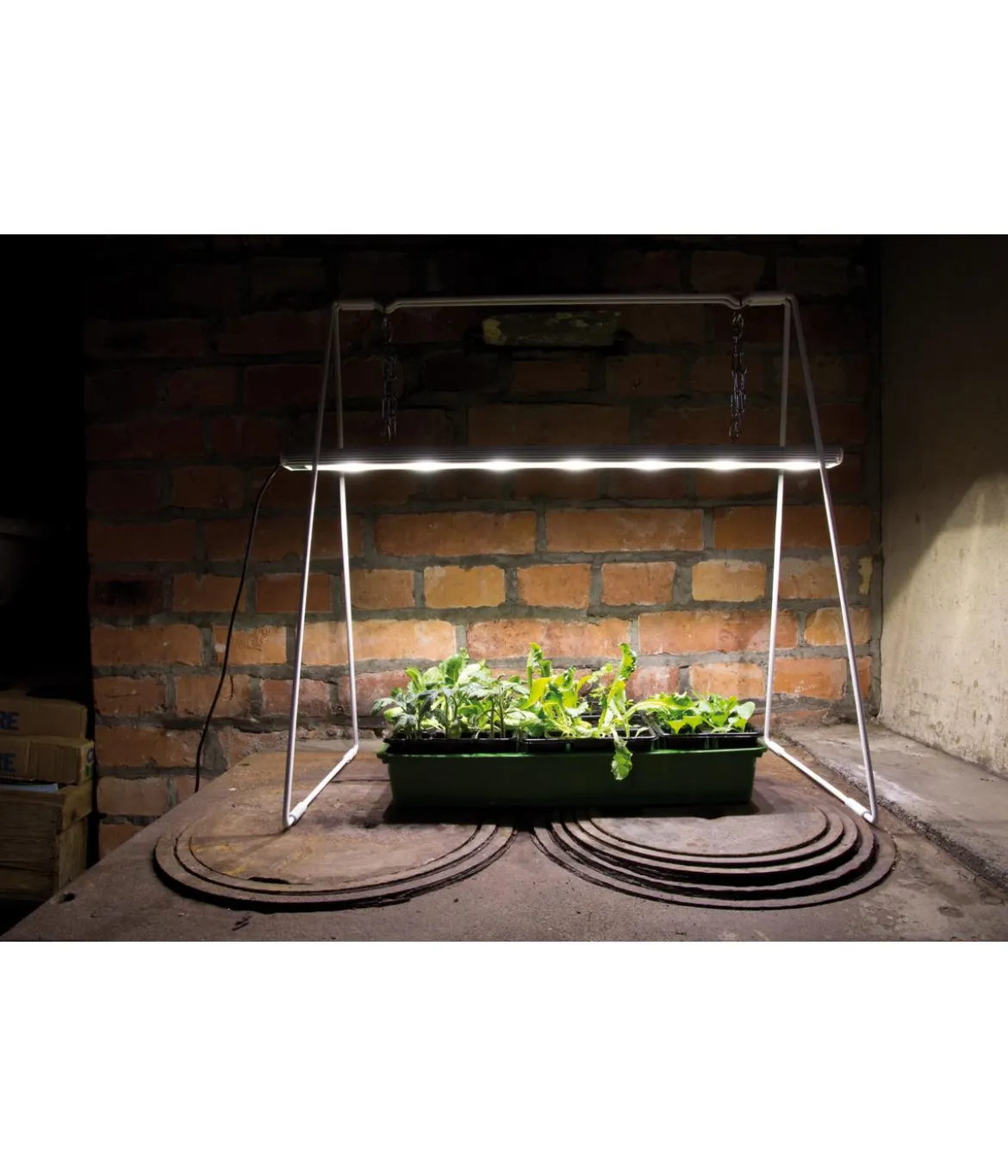 Venso LED-Anzuchtlampe GrowLight Duo