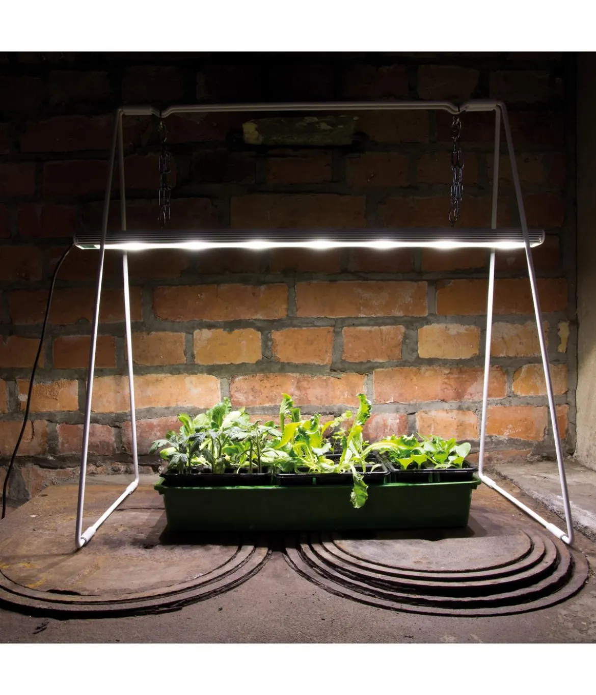 Venso LED-Anzuchtlampe GrowLight Duo