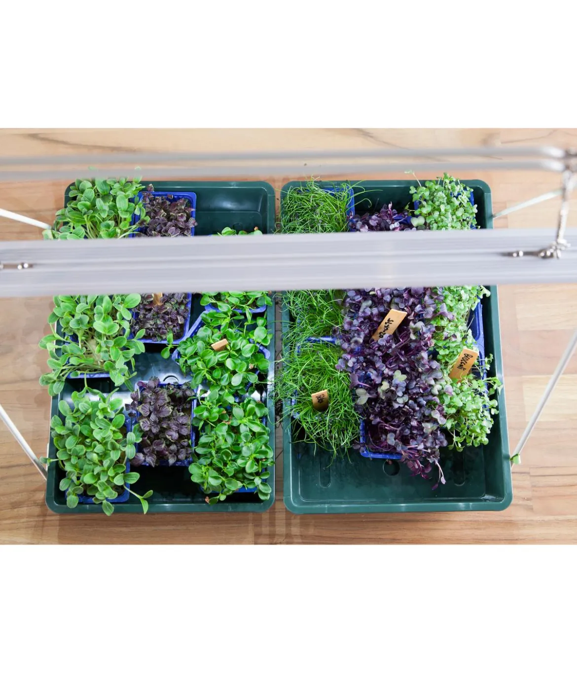 Venso LED-Anzuchtlampe GrowLight Duo