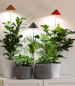 Venso LED-Pflanzenlampe