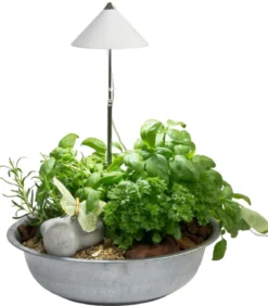Venso LED-Pflanzenlampe