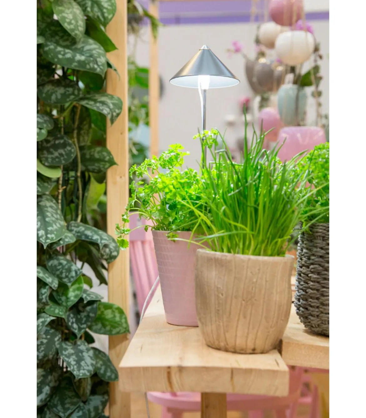 Venso LED-Pflanzenlampe