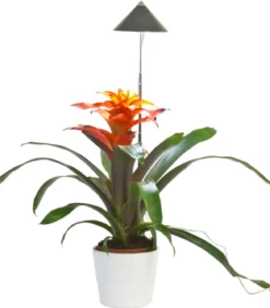Venso LED-Pflanzenlampe