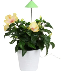 Venso LED-Pflanzenlampe