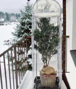 Videx Frostschutzhaus Snow, transparent, ca. B58/H200/T48 cm