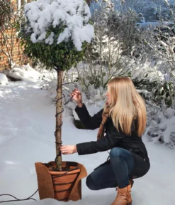 Videx Frostschutz-Heizkabel mit Regler, ca. L15 m