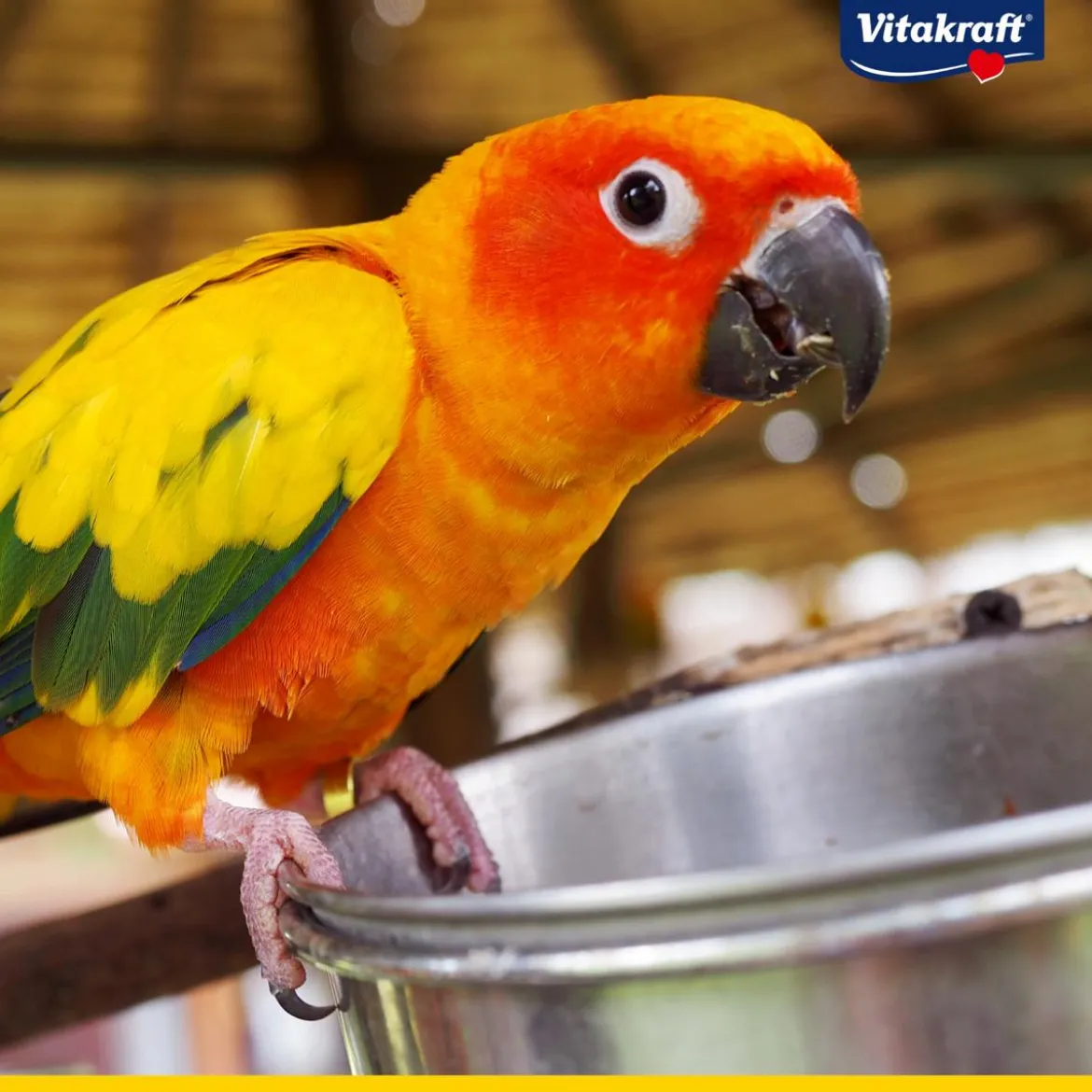 Vitakraft® Vogelfutter Amazonian für südamerikanische Papageien, 750 g